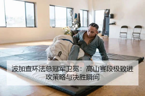 波加查环法总冠军卫冕：高山赛段极致进攻策略与决胜瞬间